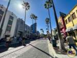 Disneyland-News-Avatar DCA Hollywood Blvd- MiceChat
