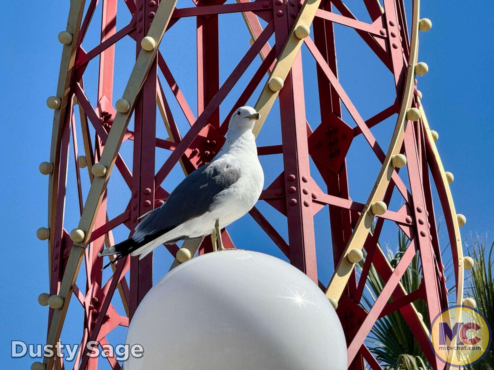 , DISNEYLAND UPDATE: Imagineering Reimagined, Avatar Anticipations & Magic Key Mysteries!