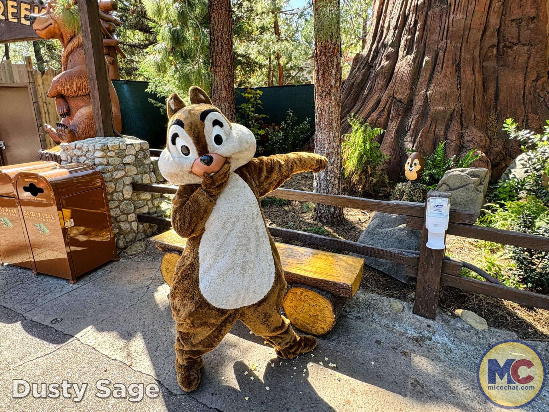 , DISNEYLAND UPDATE: Imagineering Reimagined, Avatar Anticipations & Magic Key Mysteries!