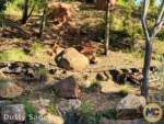 Disneyland-News-Beauty River Rock on Tracks- MiceChat