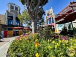 Disneyland-News-Beauty Spring Garden Downtown Disney 1- MiceChat
