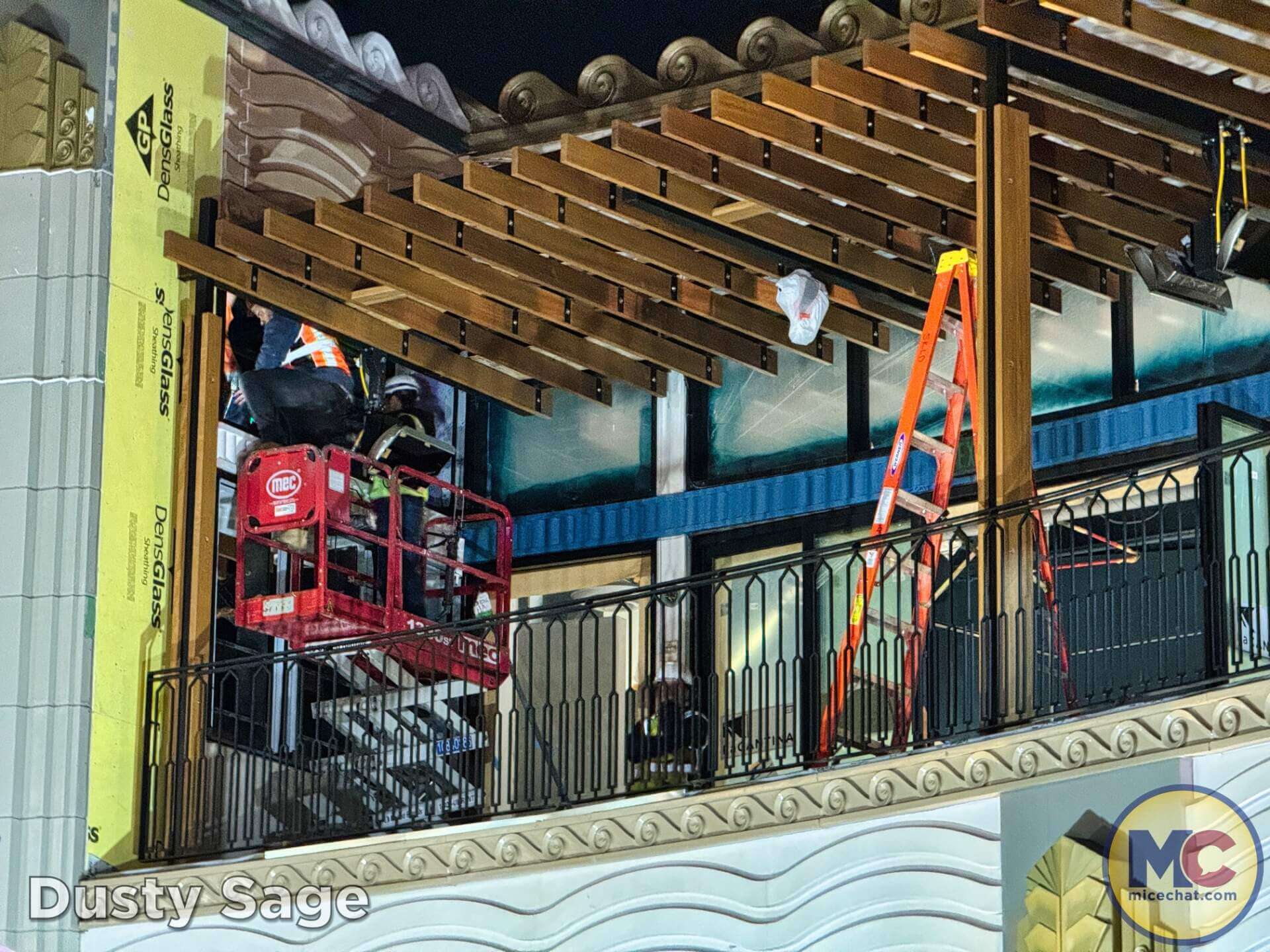 , DISNEYLAND UPDATE: Imagineering Reimagined, Avatar Anticipations & Magic Key Mysteries!