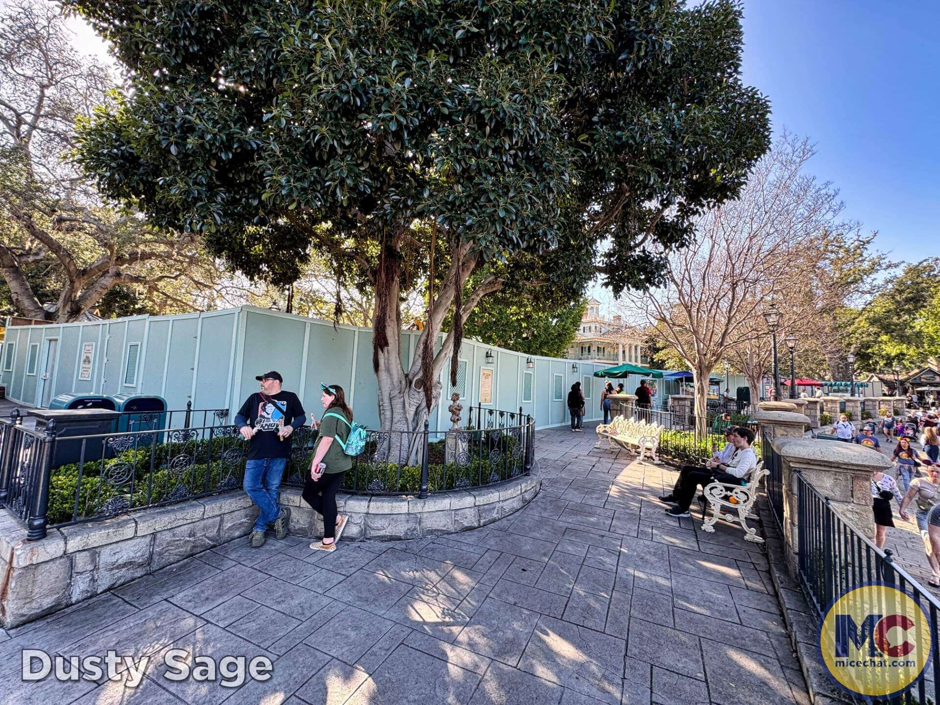 , DISNEYLAND UPDATE: Imagineering Reimagined, Avatar Anticipations & Magic Key Mysteries!