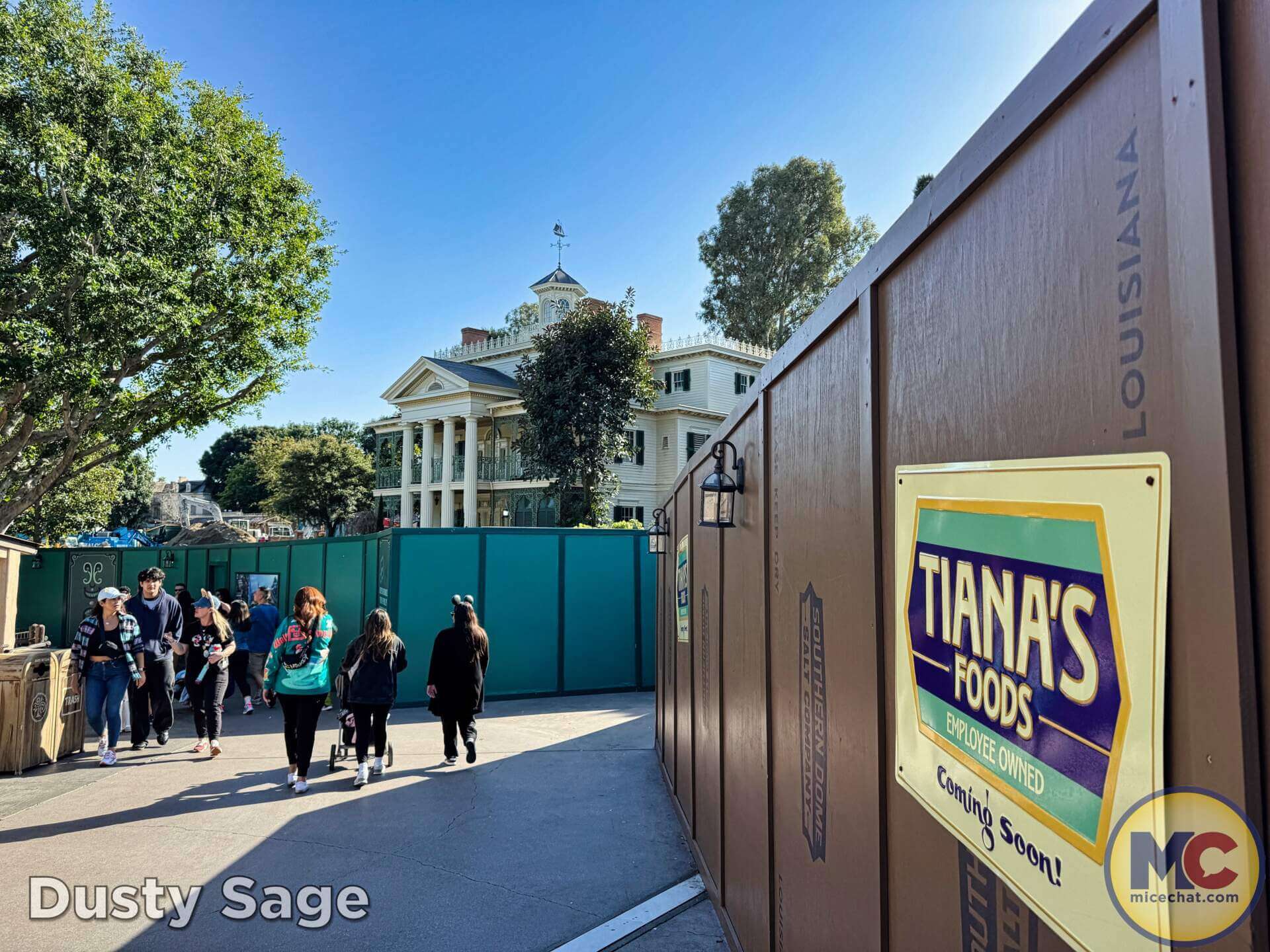 , DISNEYLAND UPDATE: Imagineering Reimagined, Avatar Anticipations & Magic Key Mysteries!