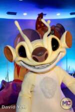 Disneyland-News-Disney Channel Nite Experiment- MiceChat