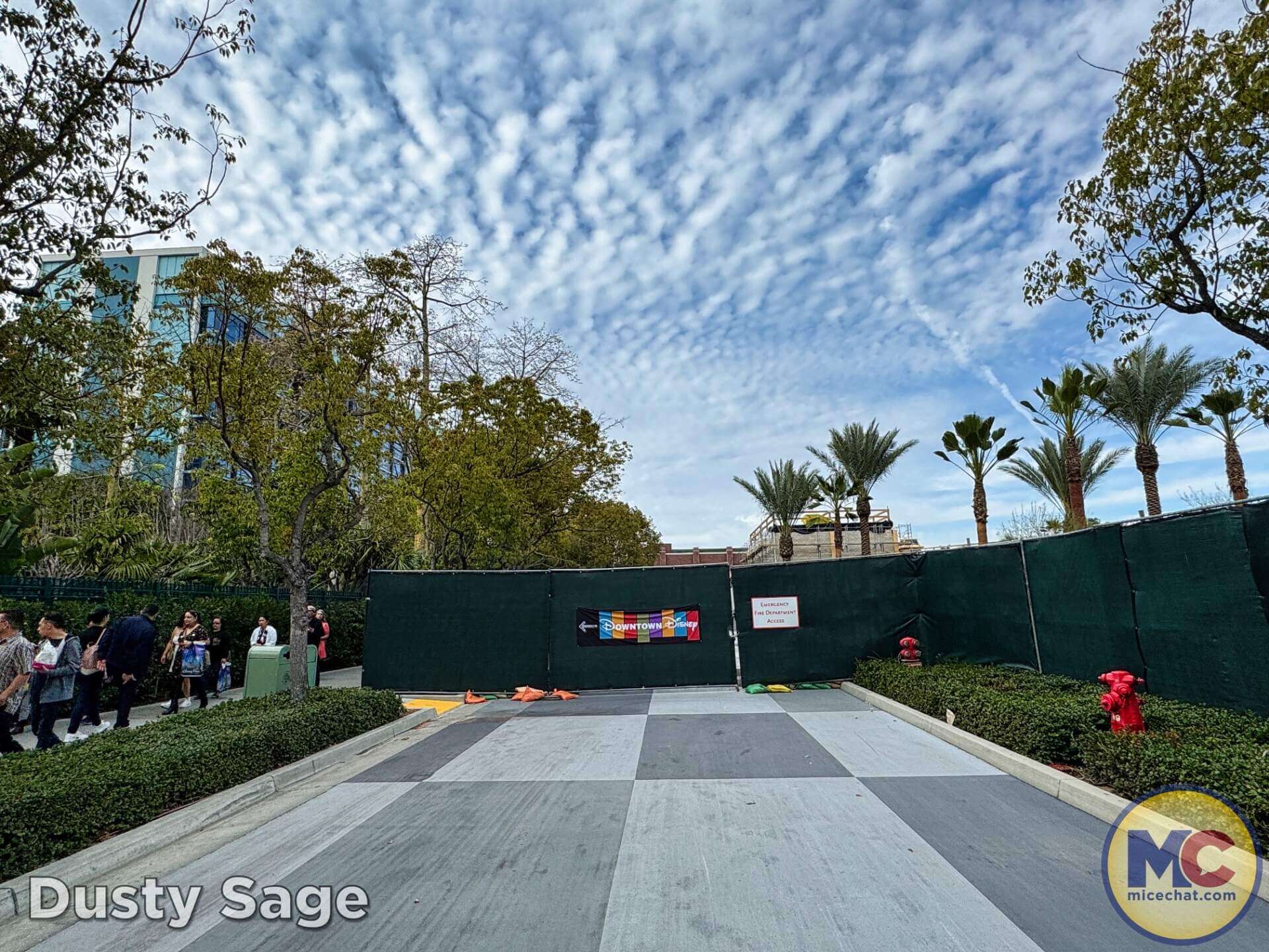 , DISNEYLAND UPDATE: Imagineering Reimagined, Avatar Anticipations & Magic Key Mysteries!