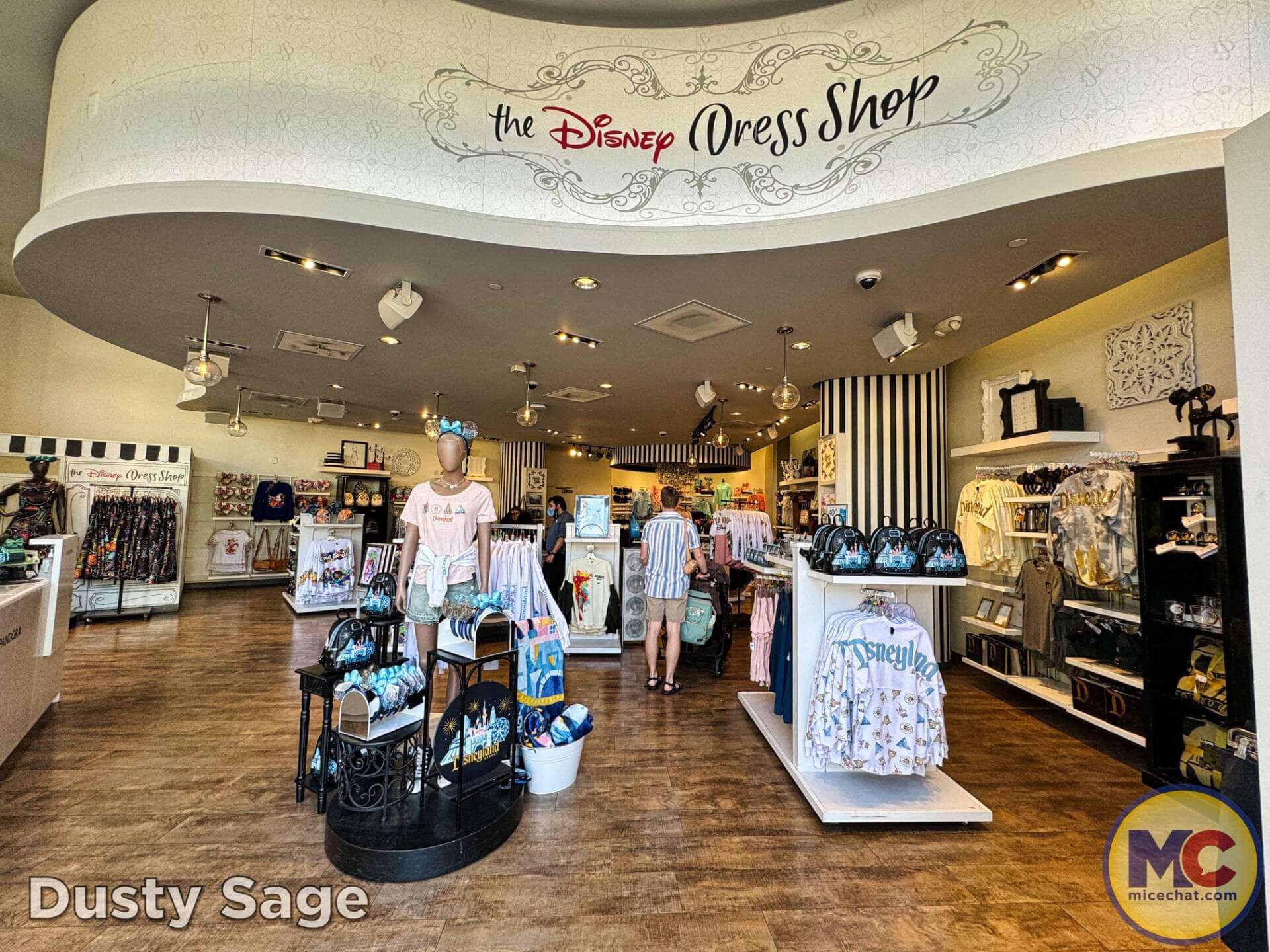 , DISNEYLAND UPDATE: Imagineering Reimagined, Avatar Anticipations & Magic Key Mysteries!