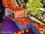 Disneyland-News-This That Soarin Oranges 2- MiceChat