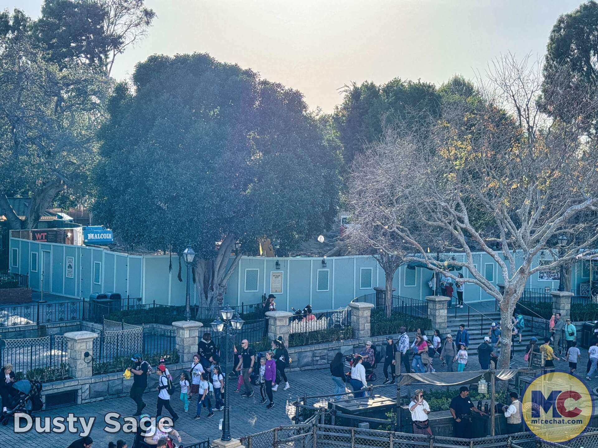 , DISNEYLAND UPDATE: Imagineering Reimagined, Avatar Anticipations & Magic Key Mysteries!