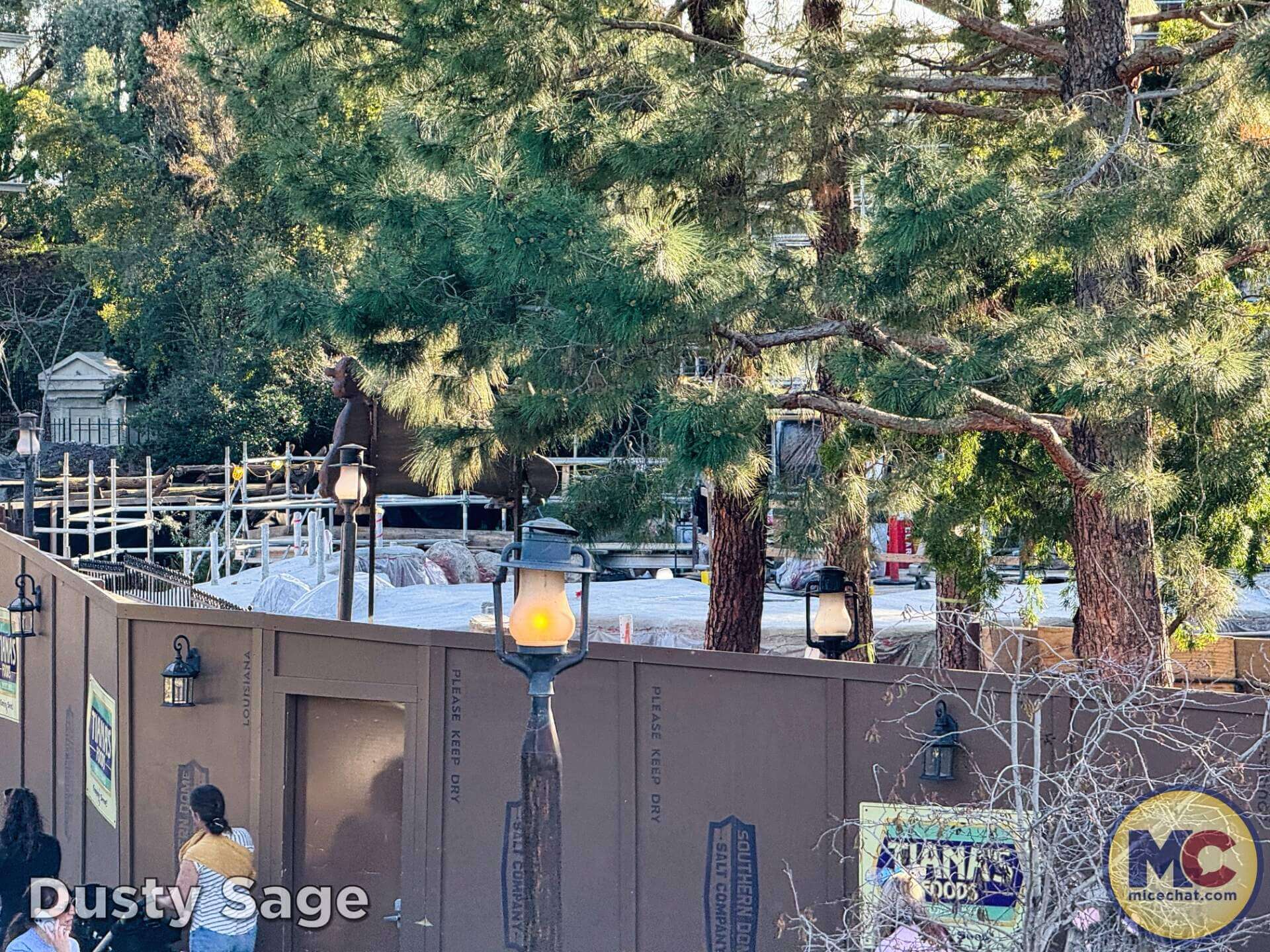 , DISNEYLAND UPDATE: Imagineering Reimagined, Avatar Anticipations & Magic Key Mysteries!