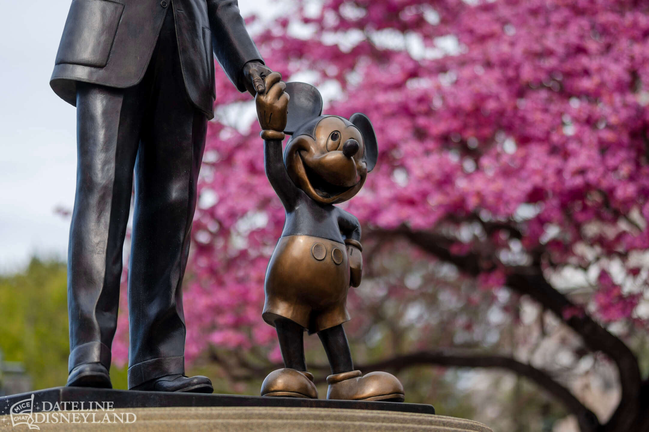 Disneyland, Disneyland Update: Rainy Days, Reveals, and Reinventions!