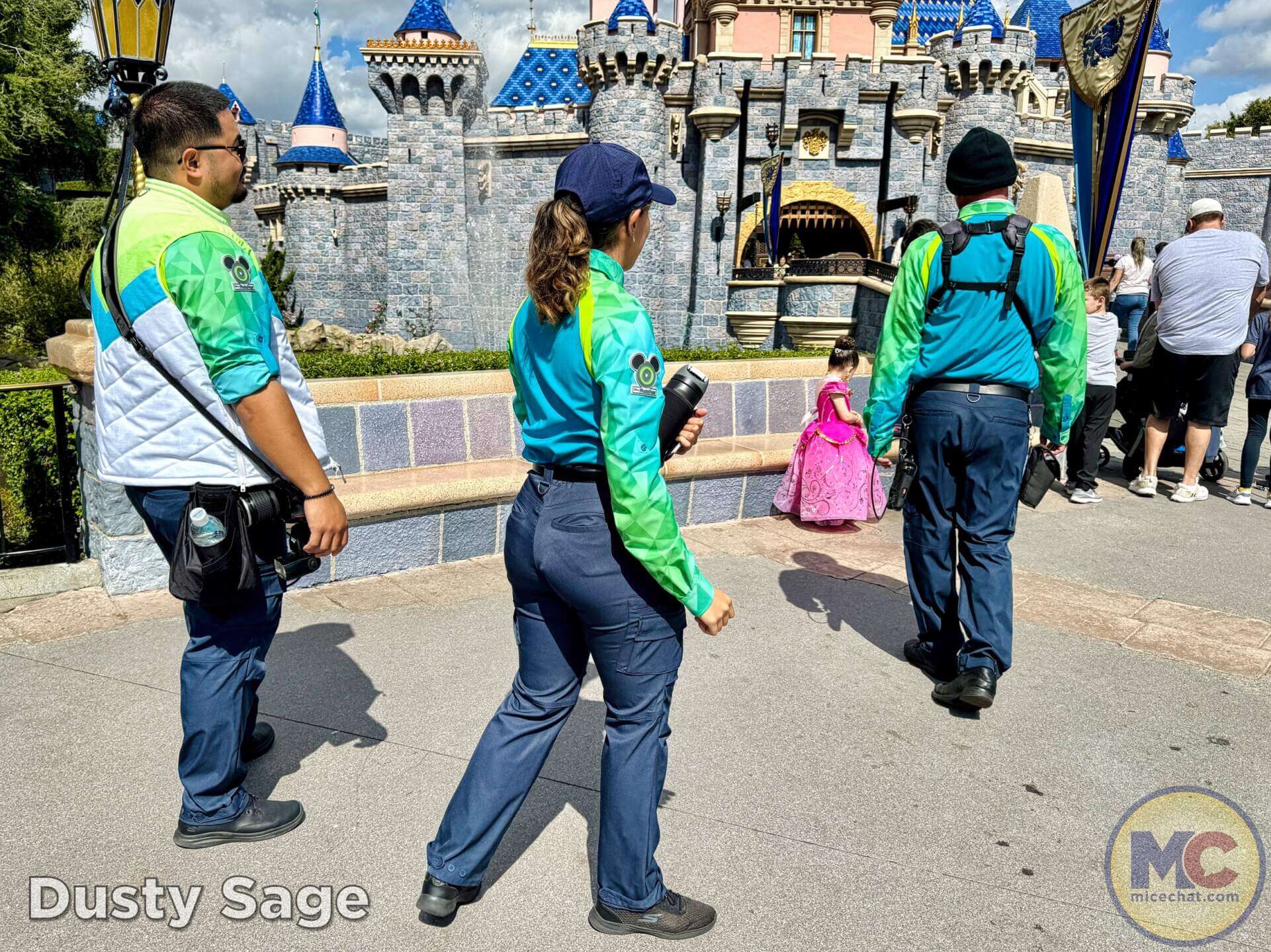 , DISNEYLAND UPDATE: Balancing Magic with Reality – Spring Surprises & Disappointments