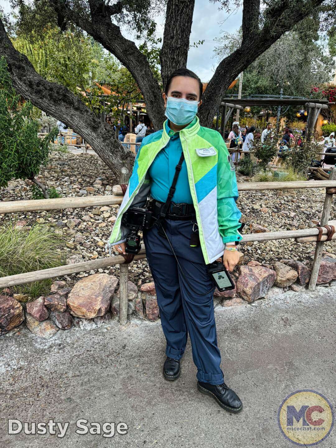 , DISNEYLAND UPDATE: Balancing Magic with Reality – Spring Surprises & Disappointments