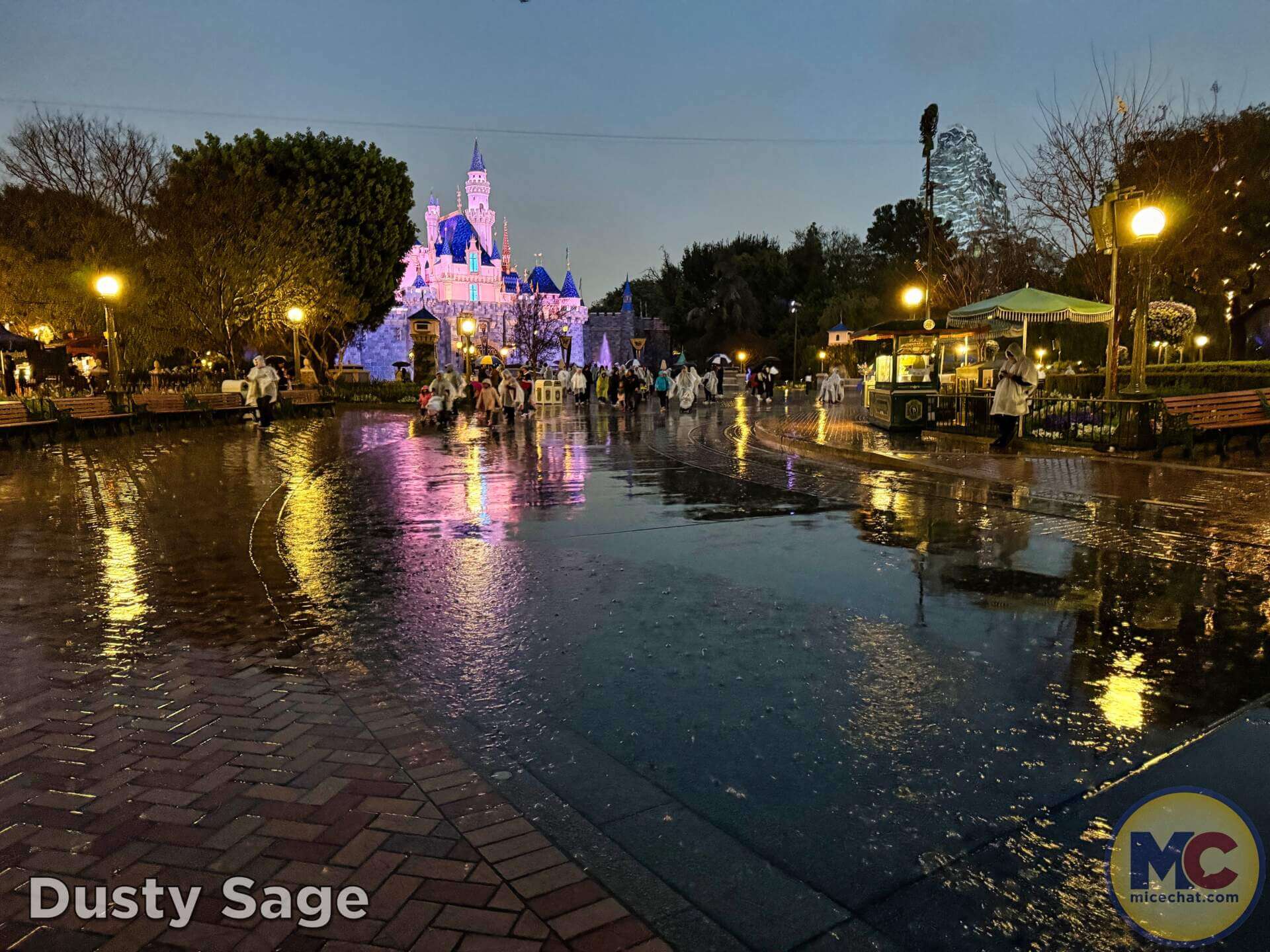 , DISNEYLAND UPDATE: Imagineering Reimagined, Avatar Anticipations & Magic Key Mysteries!