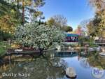 Disneyland-Spring Tree Fantasyland- MiceChat