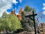 Disneyland-beauty big thunder trees clouds- MiceChat