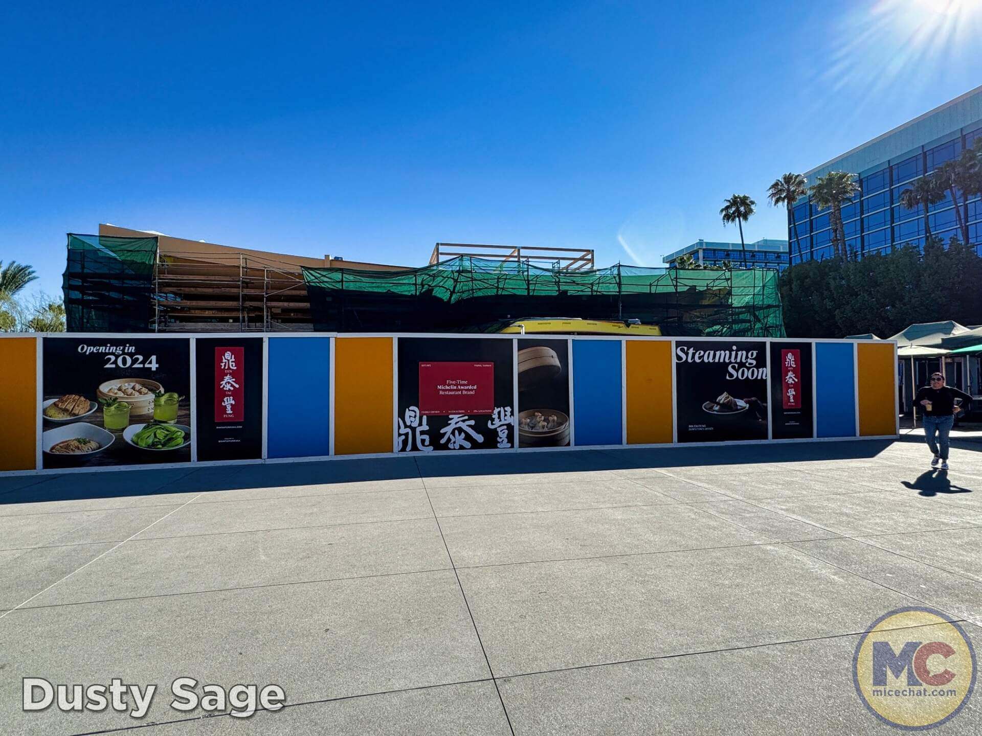 , DISNEYLAND UPDATE: Balancing Magic with Reality – Spring Surprises & Disappointments