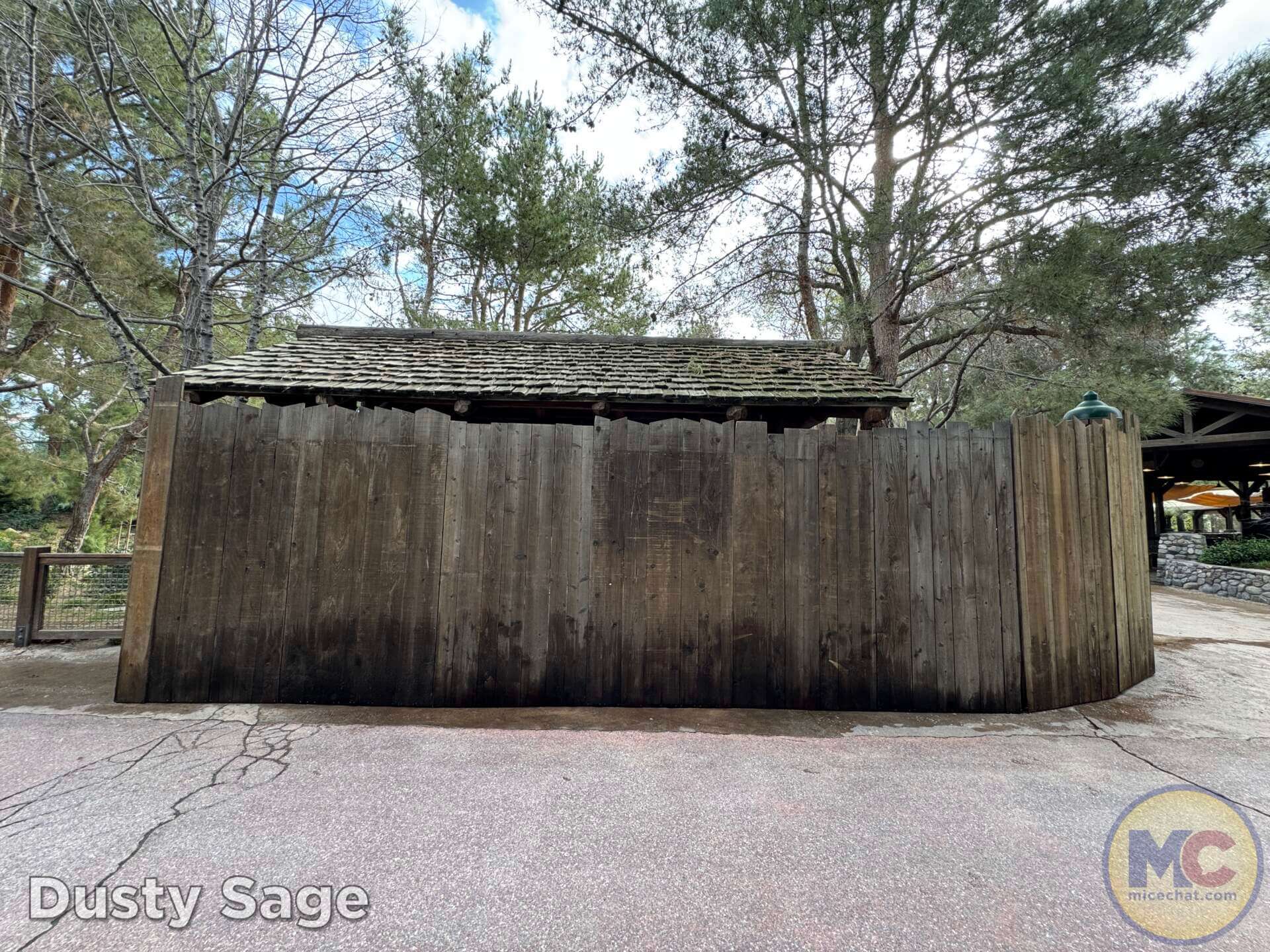 , DISNEYLAND UPDATE: Balancing Magic with Reality – Spring Surprises & Disappointments