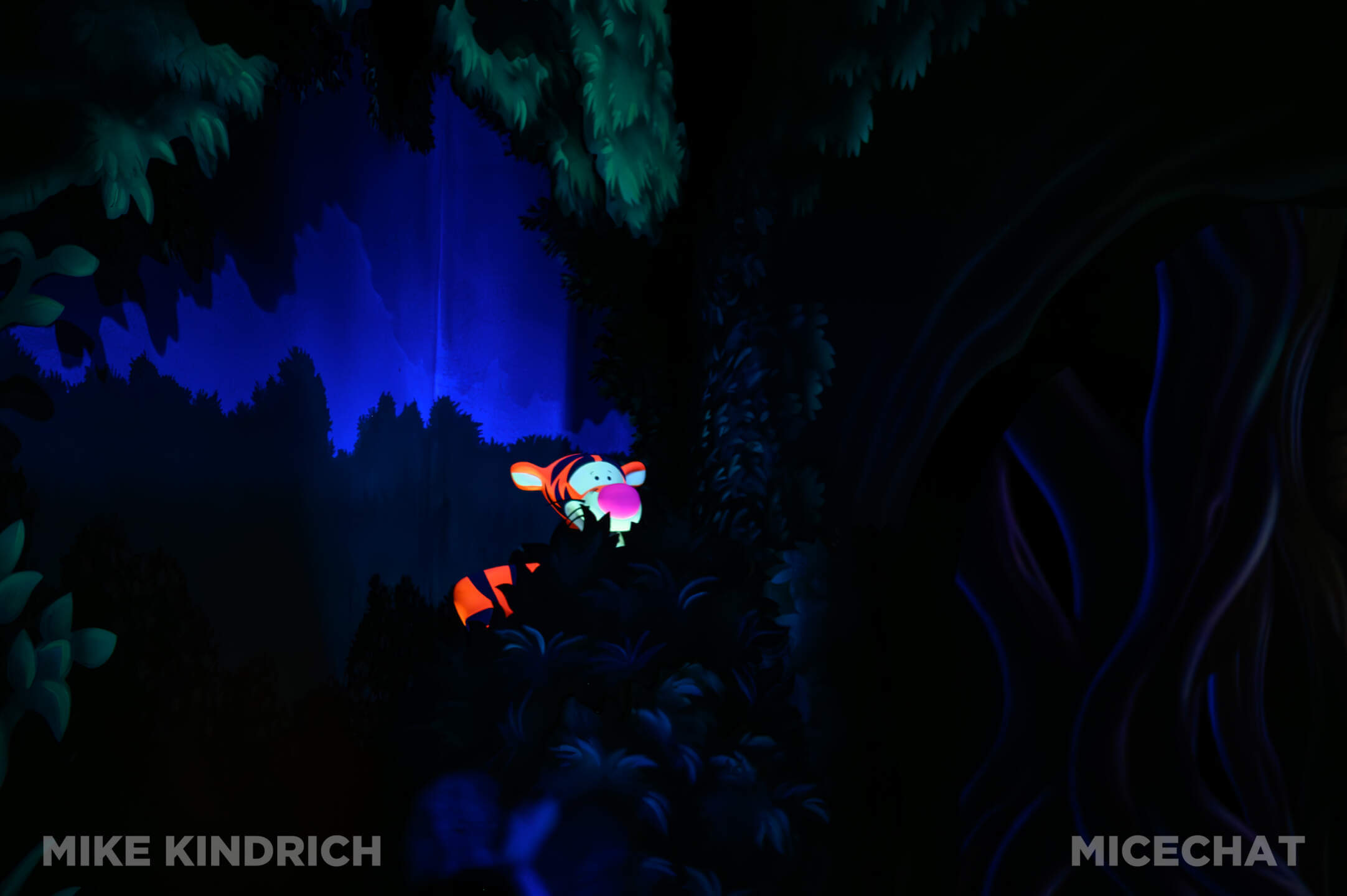 Winnie the Pooh, MiceShots: One Day in the Hundred Acre Wood