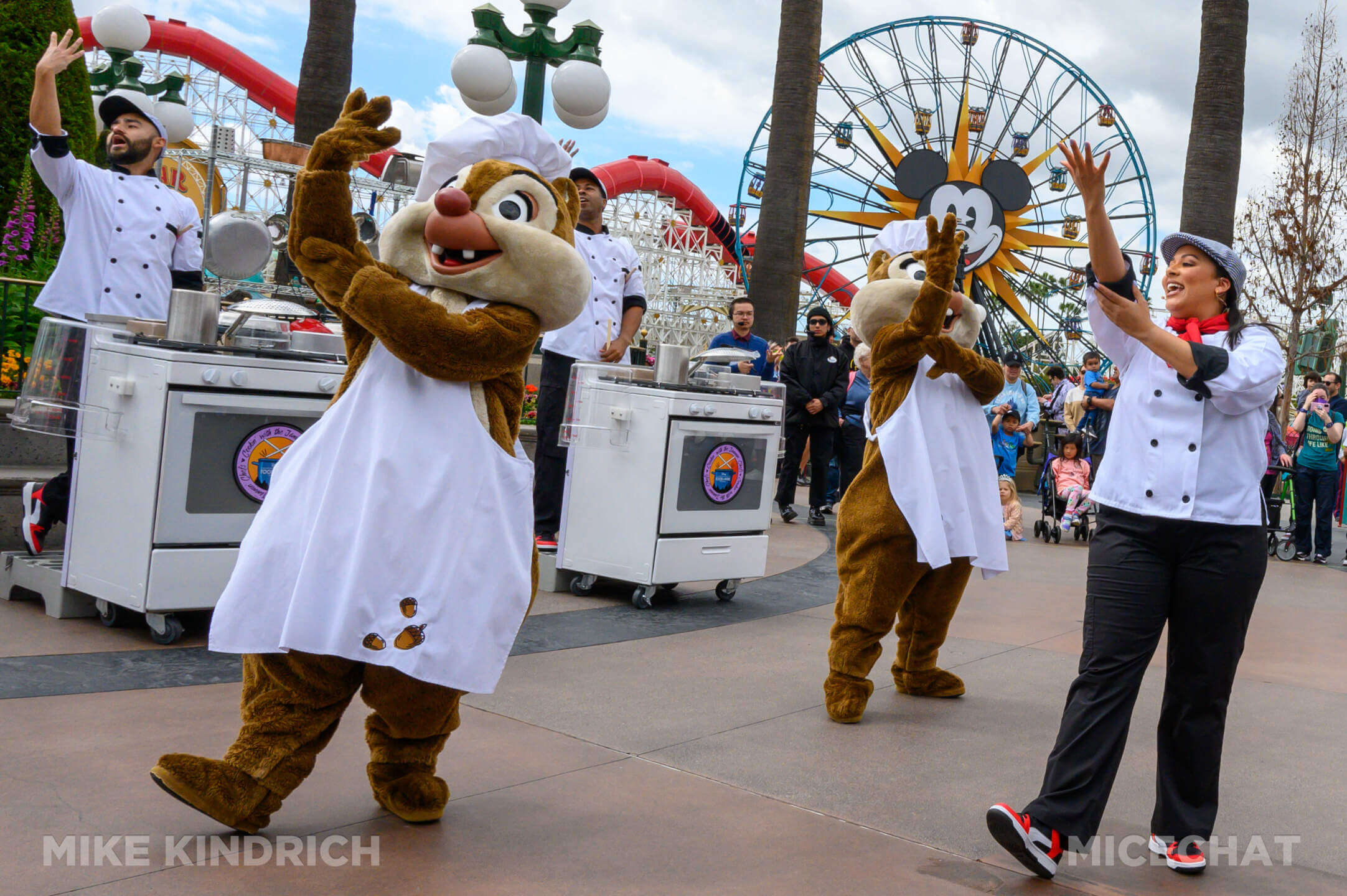 , DISNEYLAND UPDATE: Balancing Magic with Reality – Spring Surprises & Disappointments