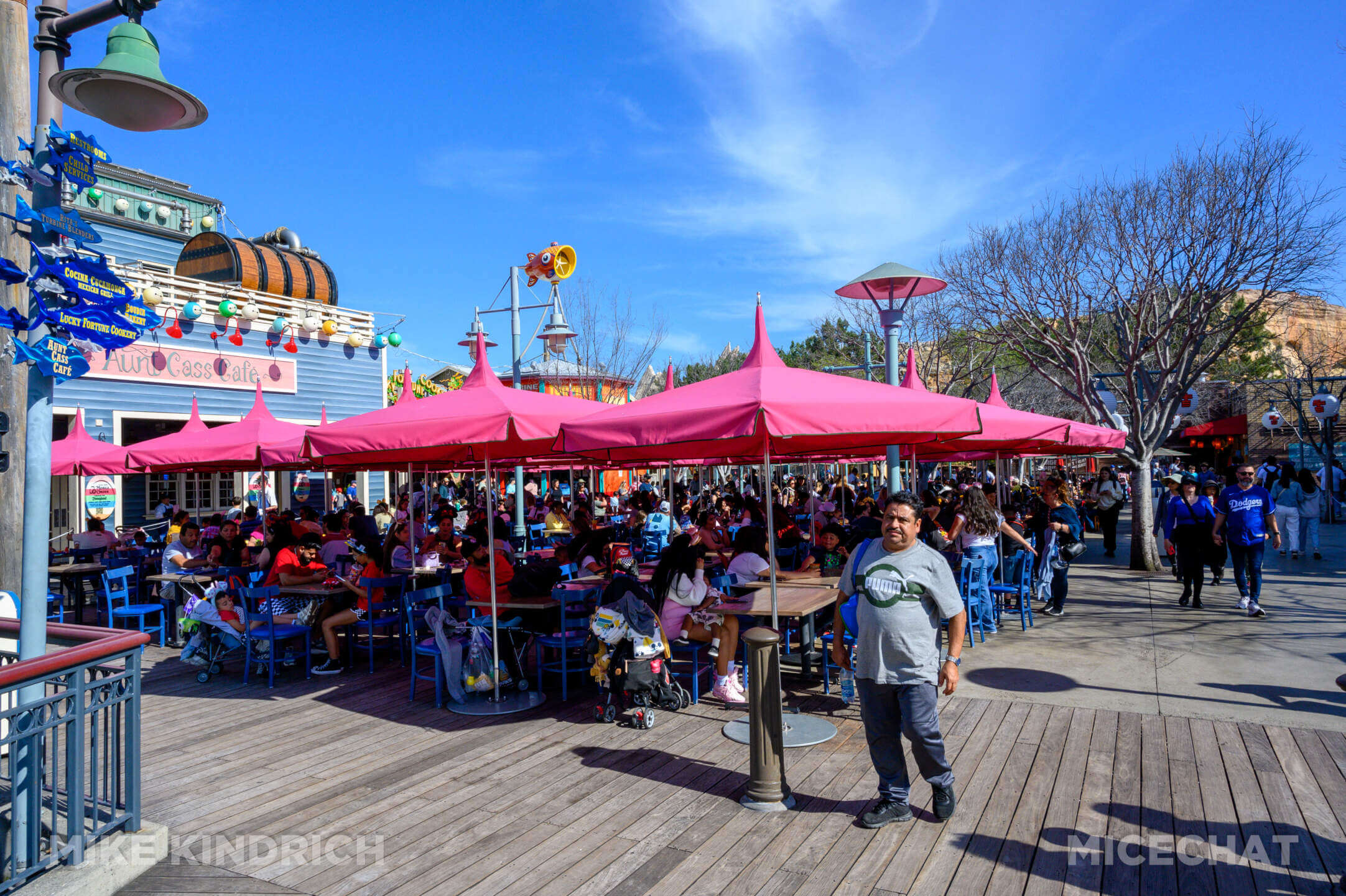 , DISNEYLAND UPDATE: Toontown Troubles Tamed, Spring Surprises &#038; Seasonal Shenanigans