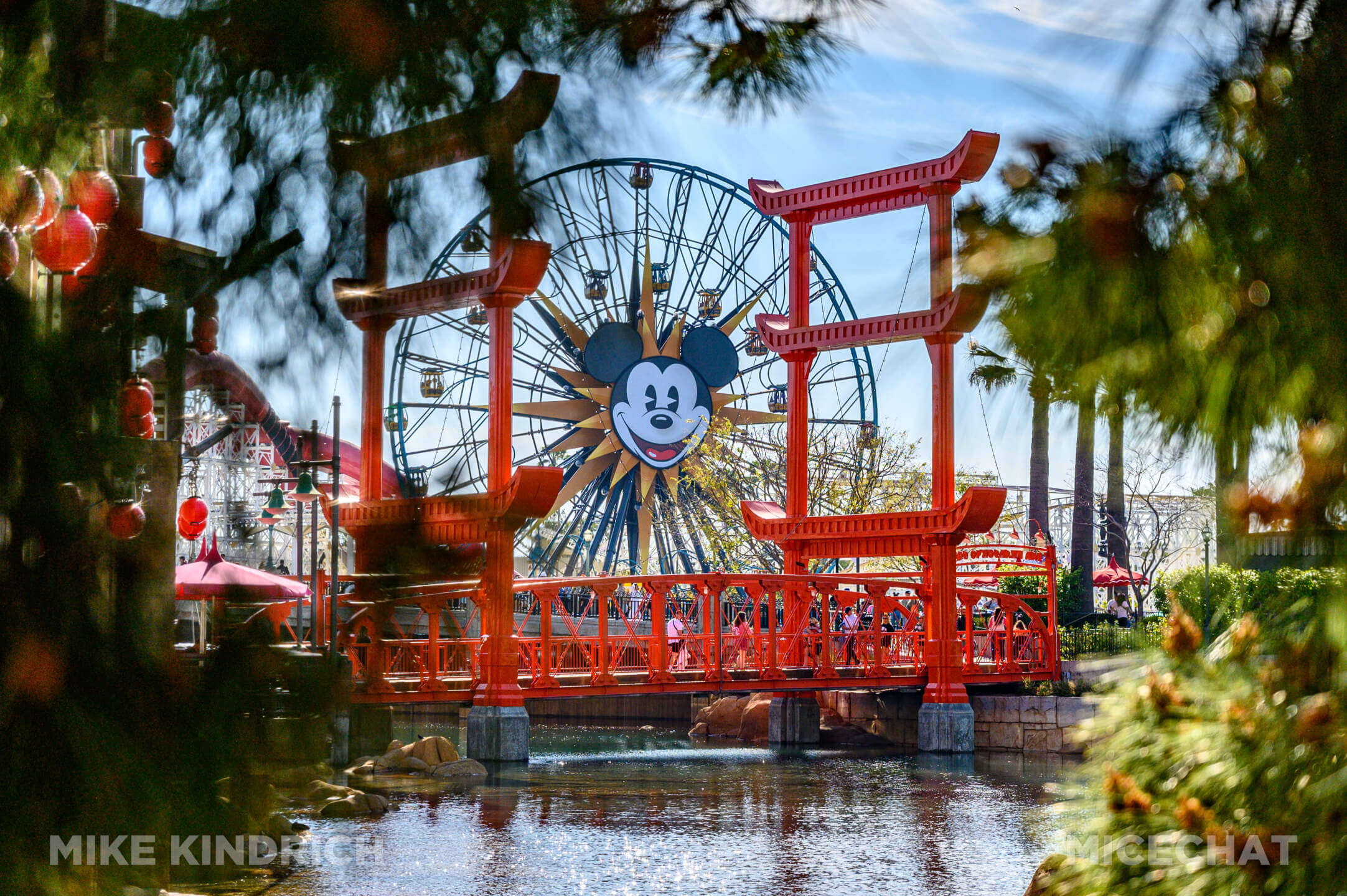 , DISNEYLAND UPDATE: Toontown Troubles Tamed, Spring Surprises &#038; Seasonal Shenanigans