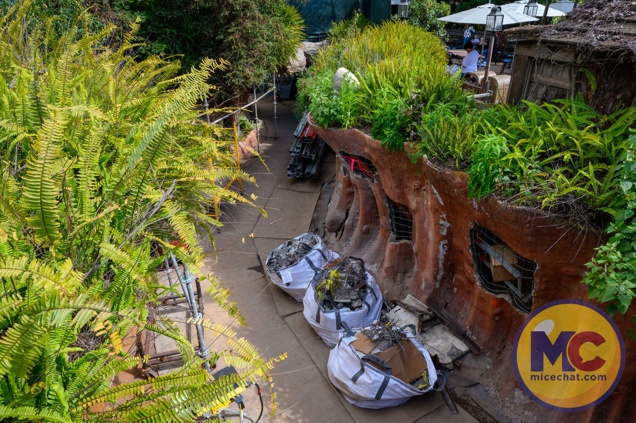 , DISNEYLAND UPDATE: Balancing Magic with Reality – Spring Surprises & Disappointments