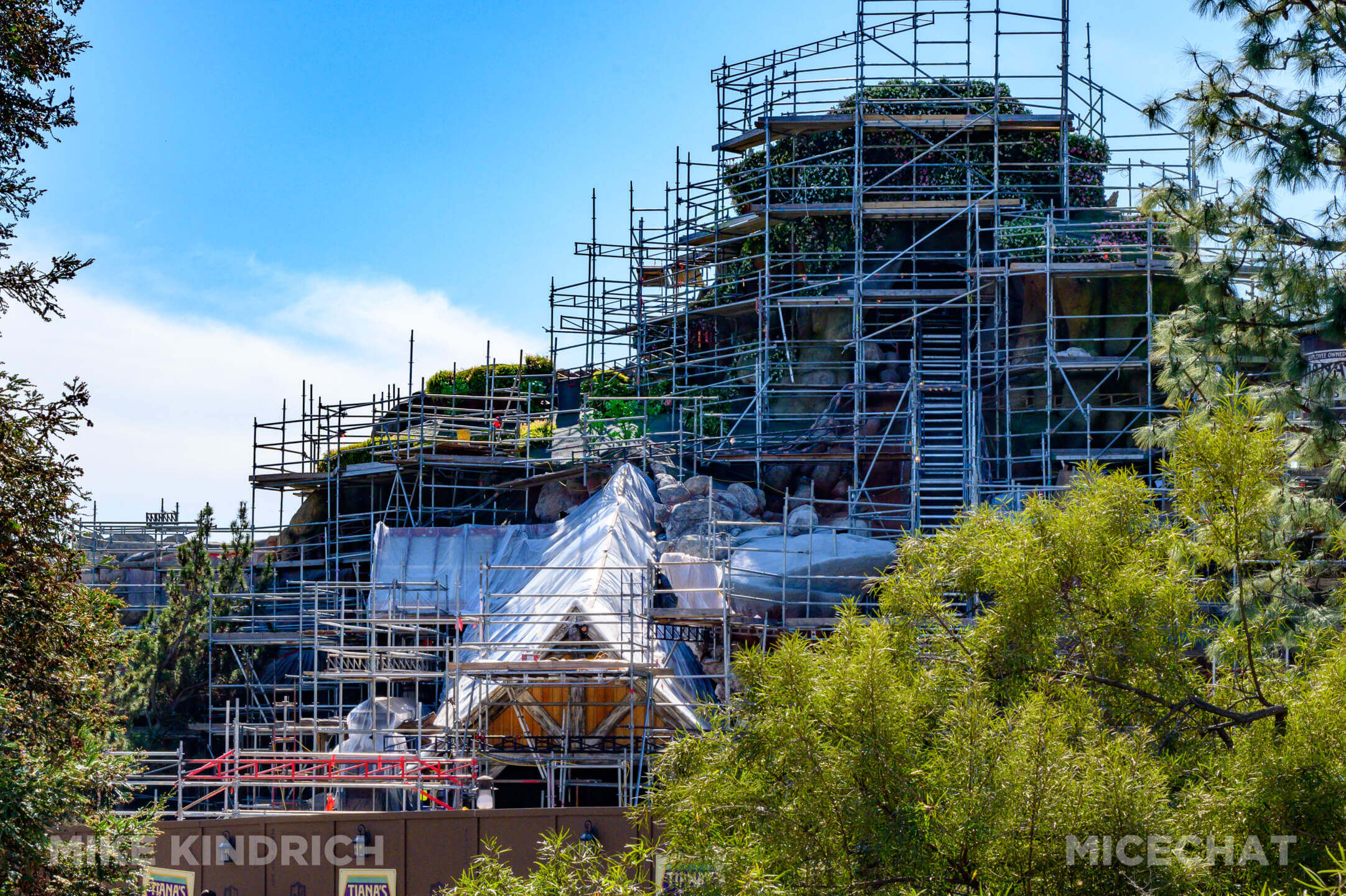 , DISNEYLAND UPDATE: Toontown Troubles Tamed, Spring Surprises &#038; Seasonal Shenanigans