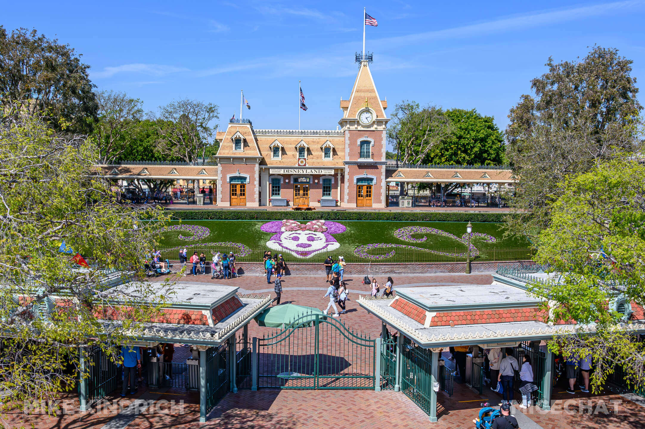 , DISNEYLAND UPDATE: Toontown Troubles Tamed, Spring Surprises &#038; Seasonal Shenanigans