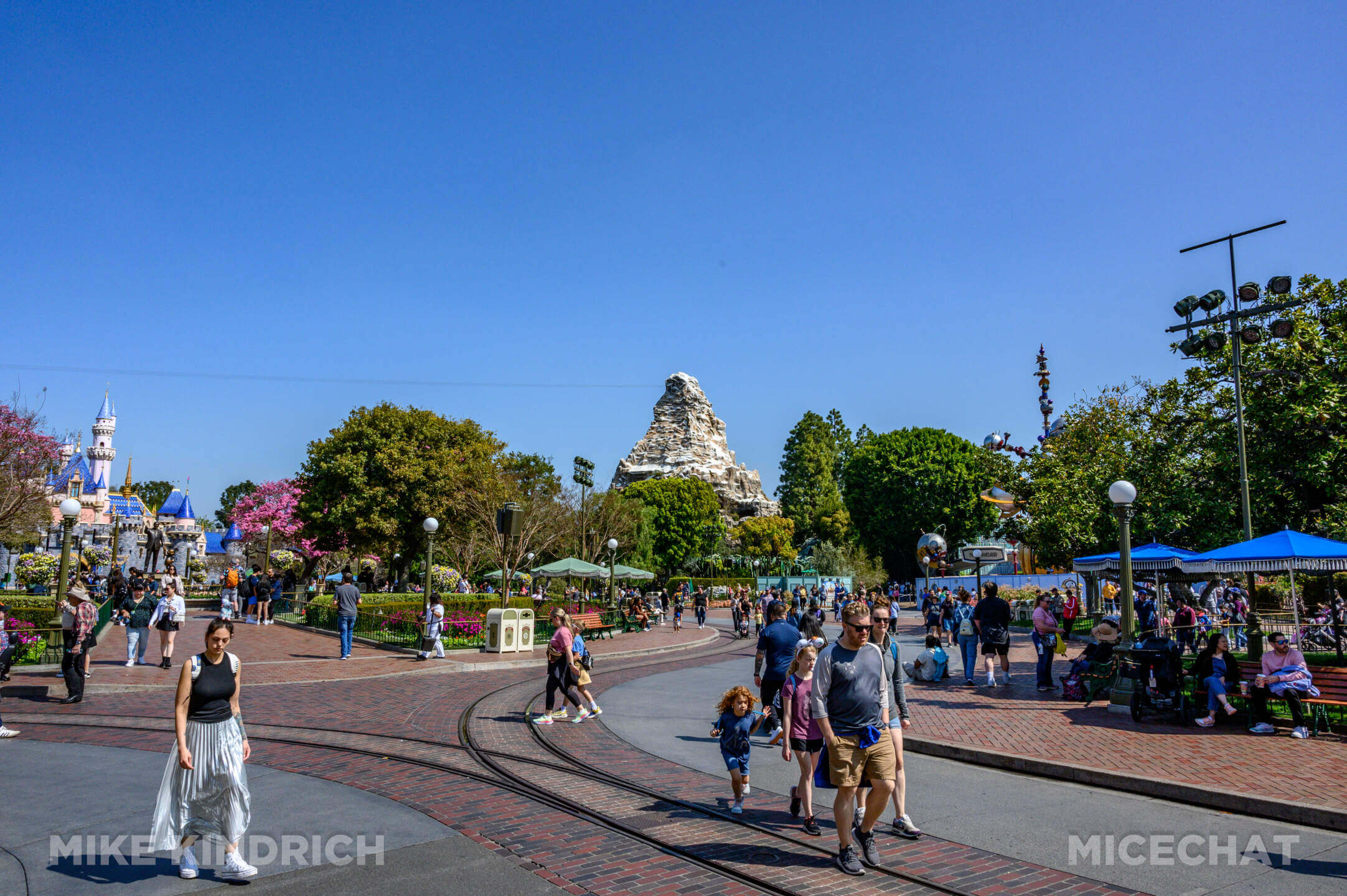 , DISNEYLAND UPDATE: Toontown Troubles Tamed, Spring Surprises &#038; Seasonal Shenanigans