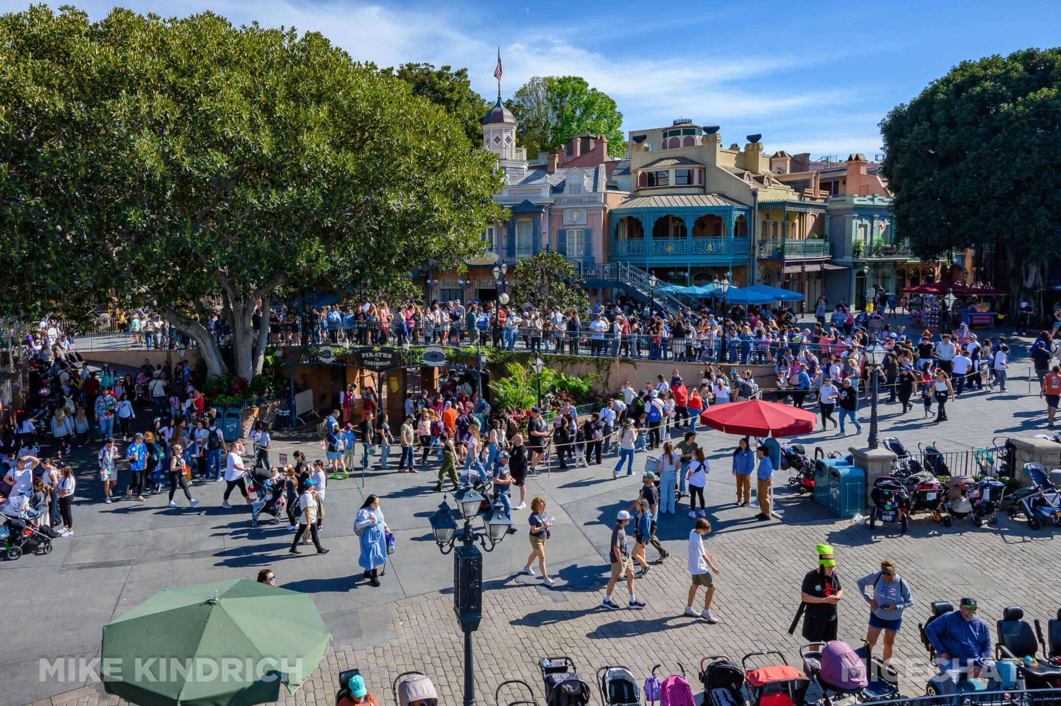 , DISNEYLAND UPDATE: Toontown Troubles Tamed, Spring Surprises &#038; Seasonal Shenanigans