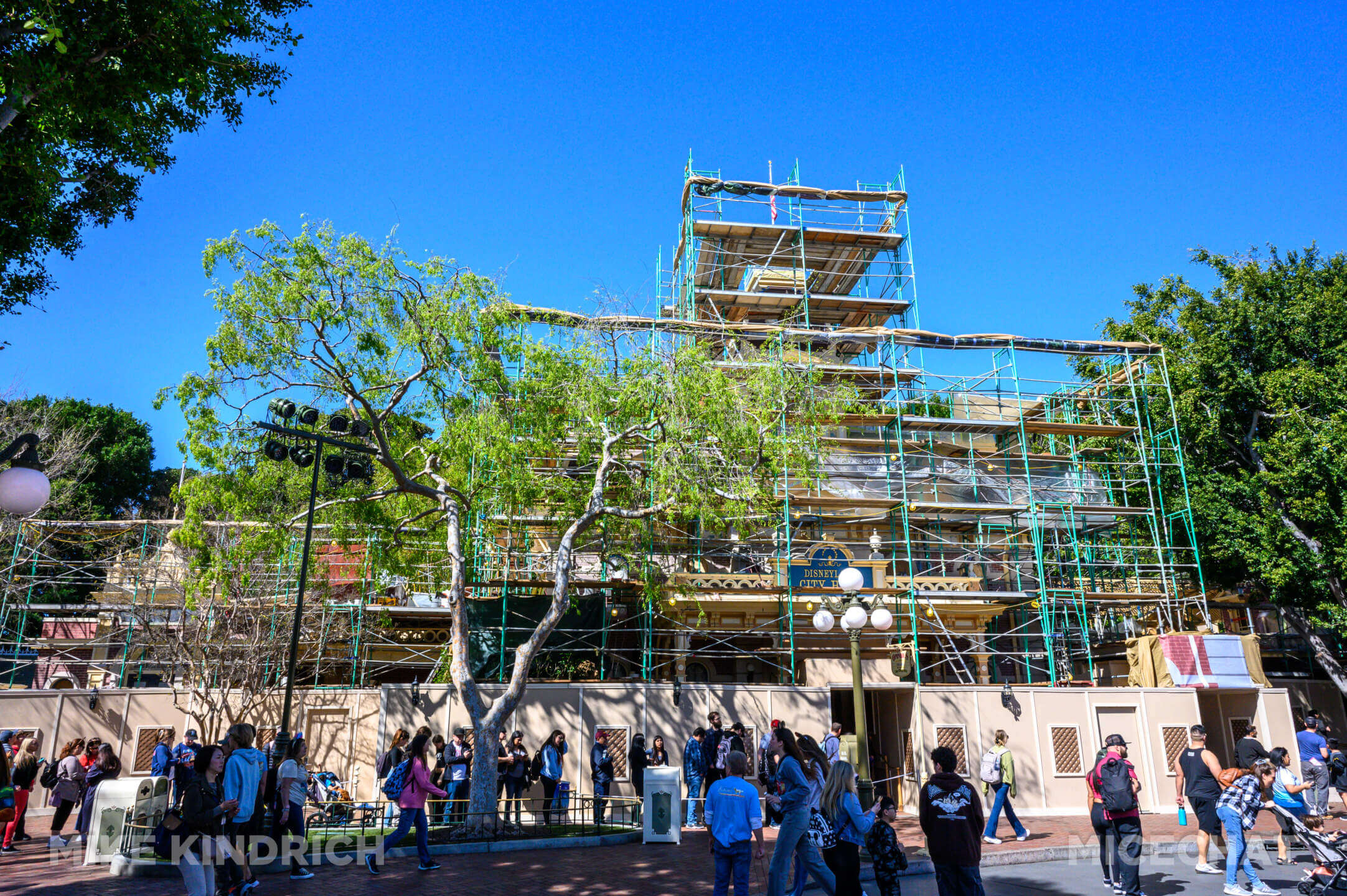 , Disneyland Update: Tiana Sets Up Shop, New Gates & Pink Trees!
