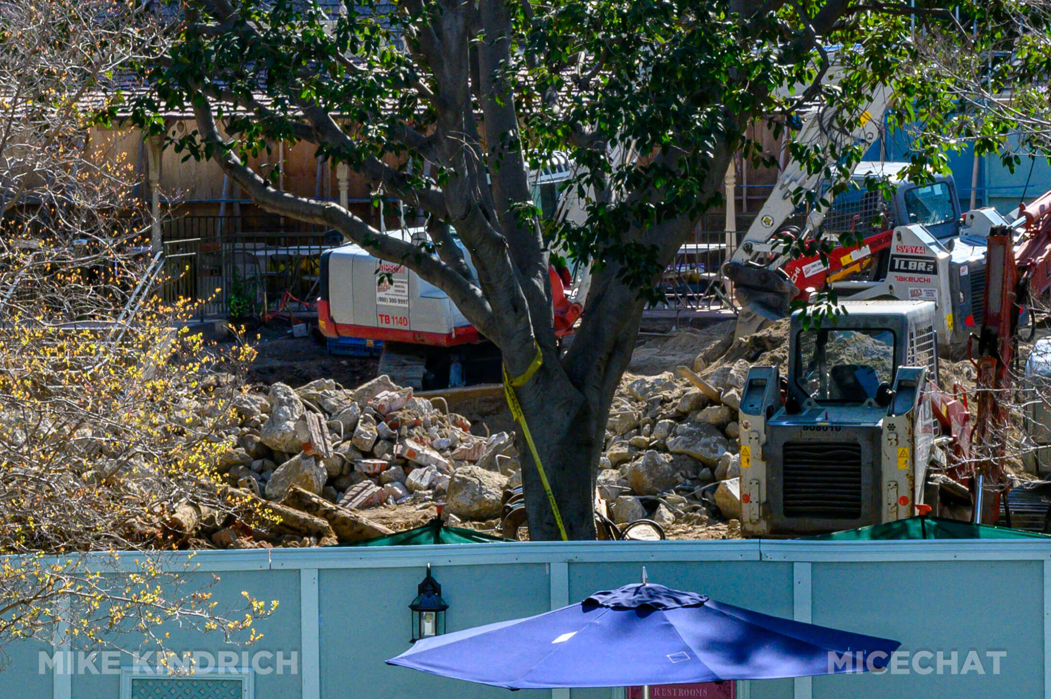 , DISNEYLAND UPDATE: Toontown Troubles Tamed, Spring Surprises &#038; Seasonal Shenanigans