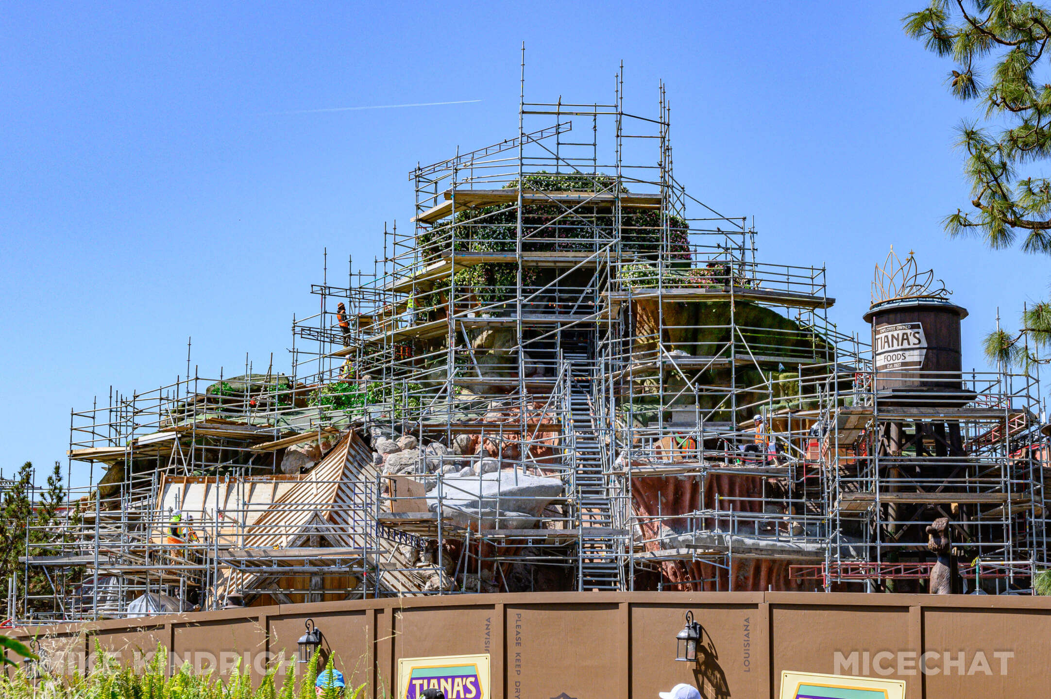 , DISNEYLAND UPDATE: Toontown Troubles Tamed, Spring Surprises &#038; Seasonal Shenanigans