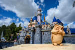 Mike Kindrich_MiceChat_Disneyland_Spring Time_Sleeping Beauty Castle (1 of 1)