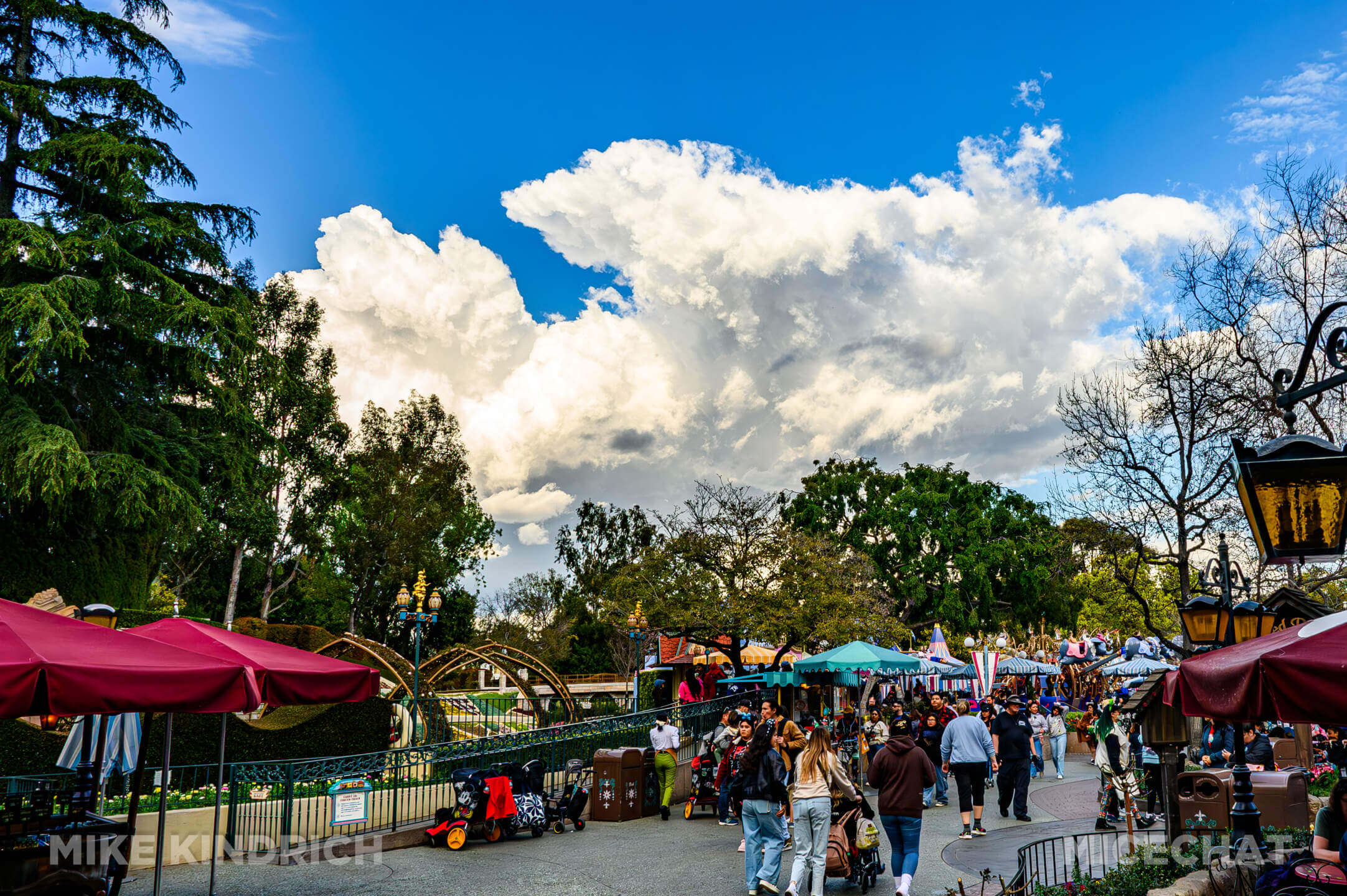 , Disneyland Update: Tiana Sets Up Shop, New Gates & Pink Trees!