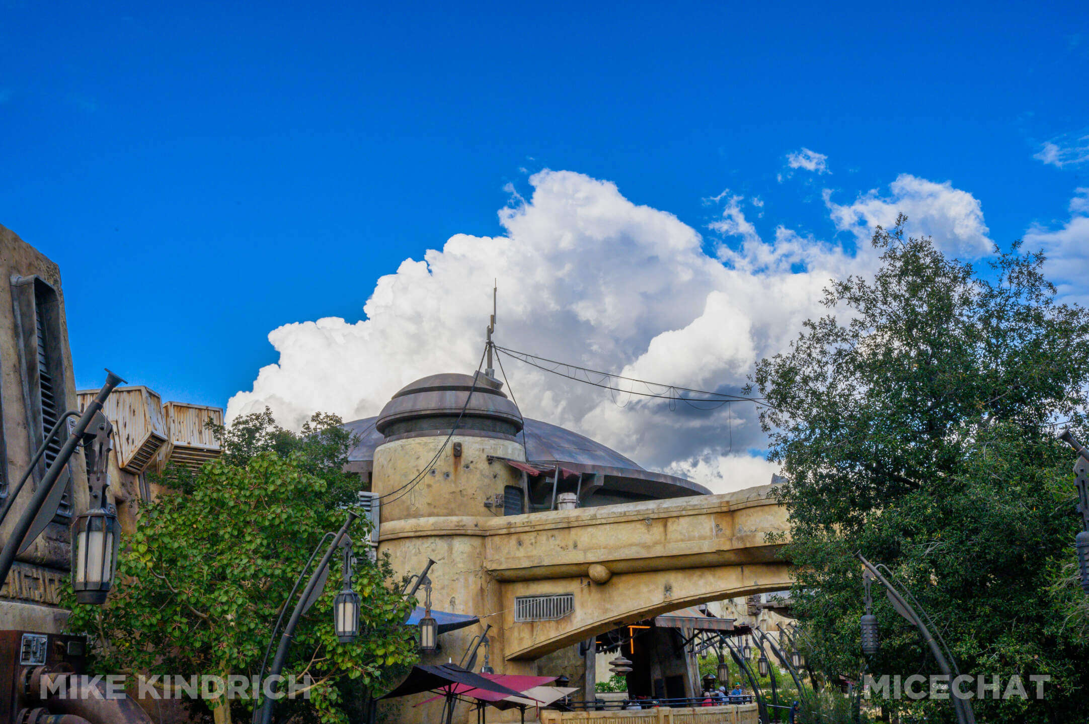 , Disneyland Update: Tiana Sets Up Shop, New Gates & Pink Trees!