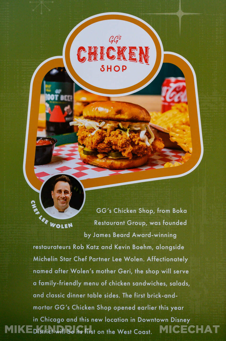 , DISNEYLAND UPDATE: Tiana’s Wild Waters, Country Bear Surprise  & Fantasmic!