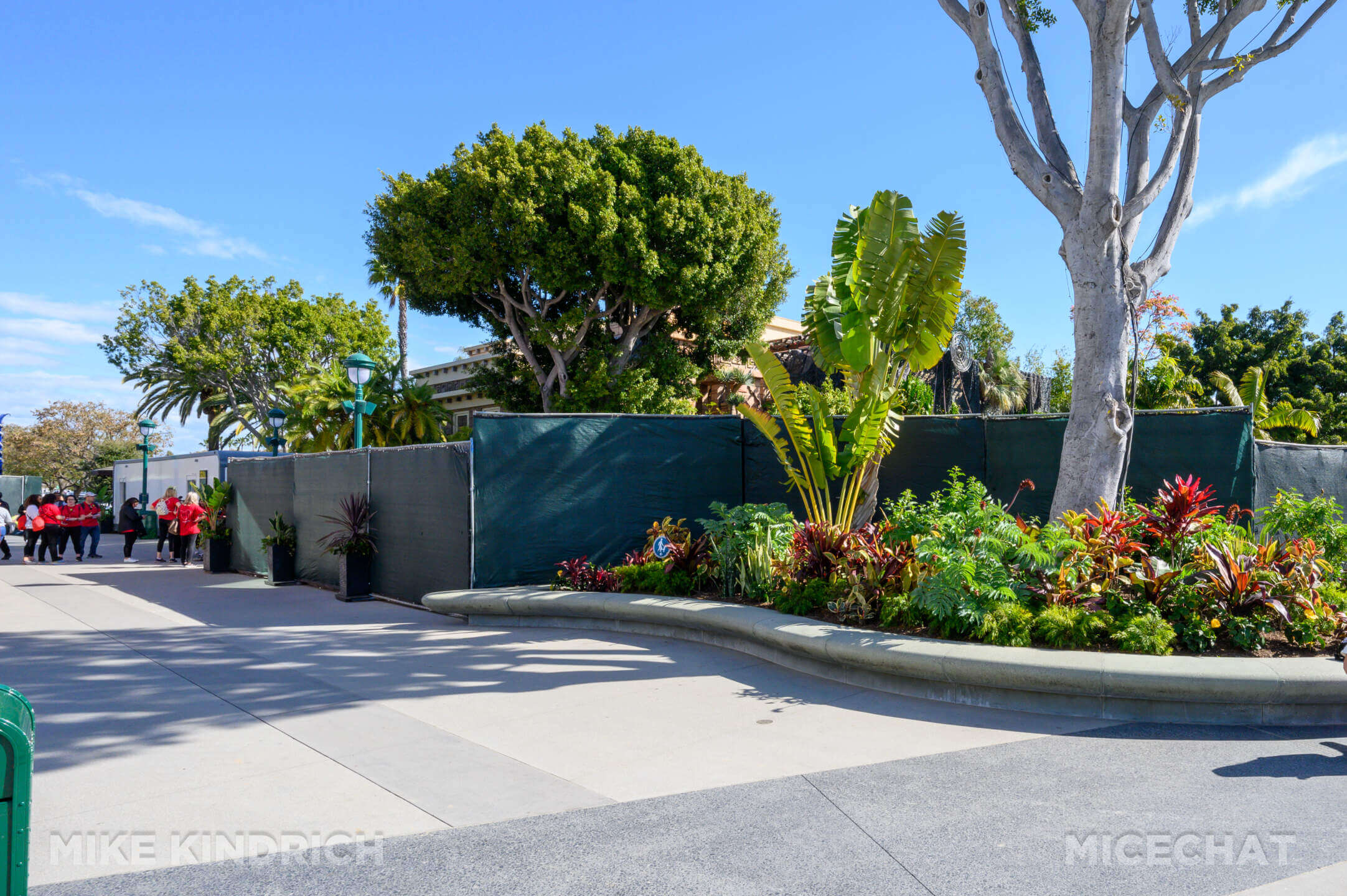 , Disneyland Update: Tiana Sets Up Shop, New Gates & Pink Trees!
