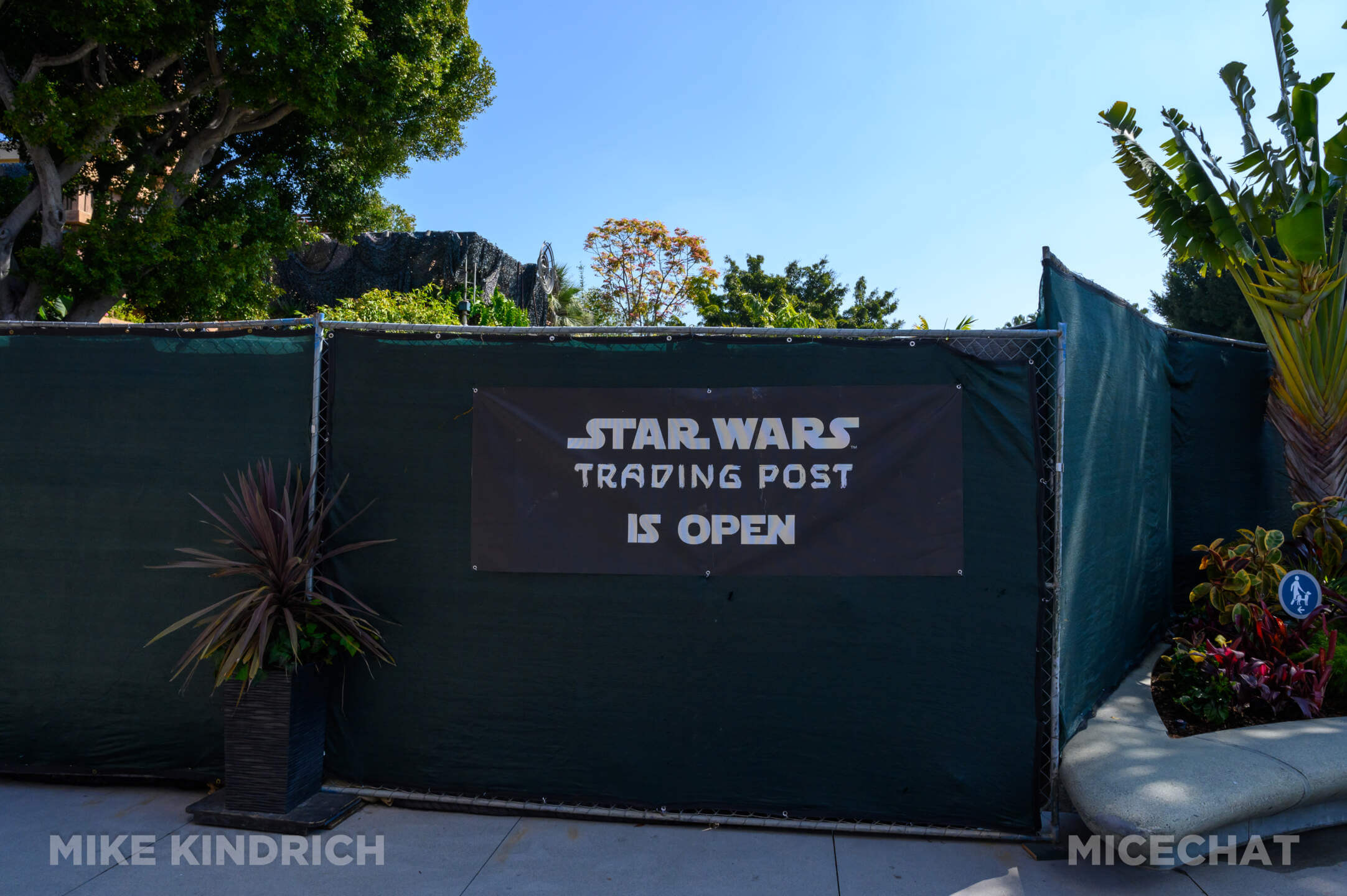 , DISNEYLAND UPDATE: Toontown Troubles Tamed, Spring Surprises &#038; Seasonal Shenanigans