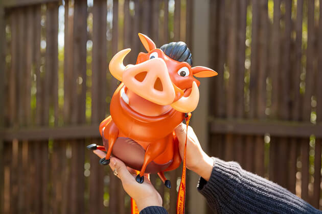 , WDW NEWS: Drone Show, Encanto Sing-Along, & Lion King News!