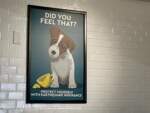 USH – Earthquake – insurance poster