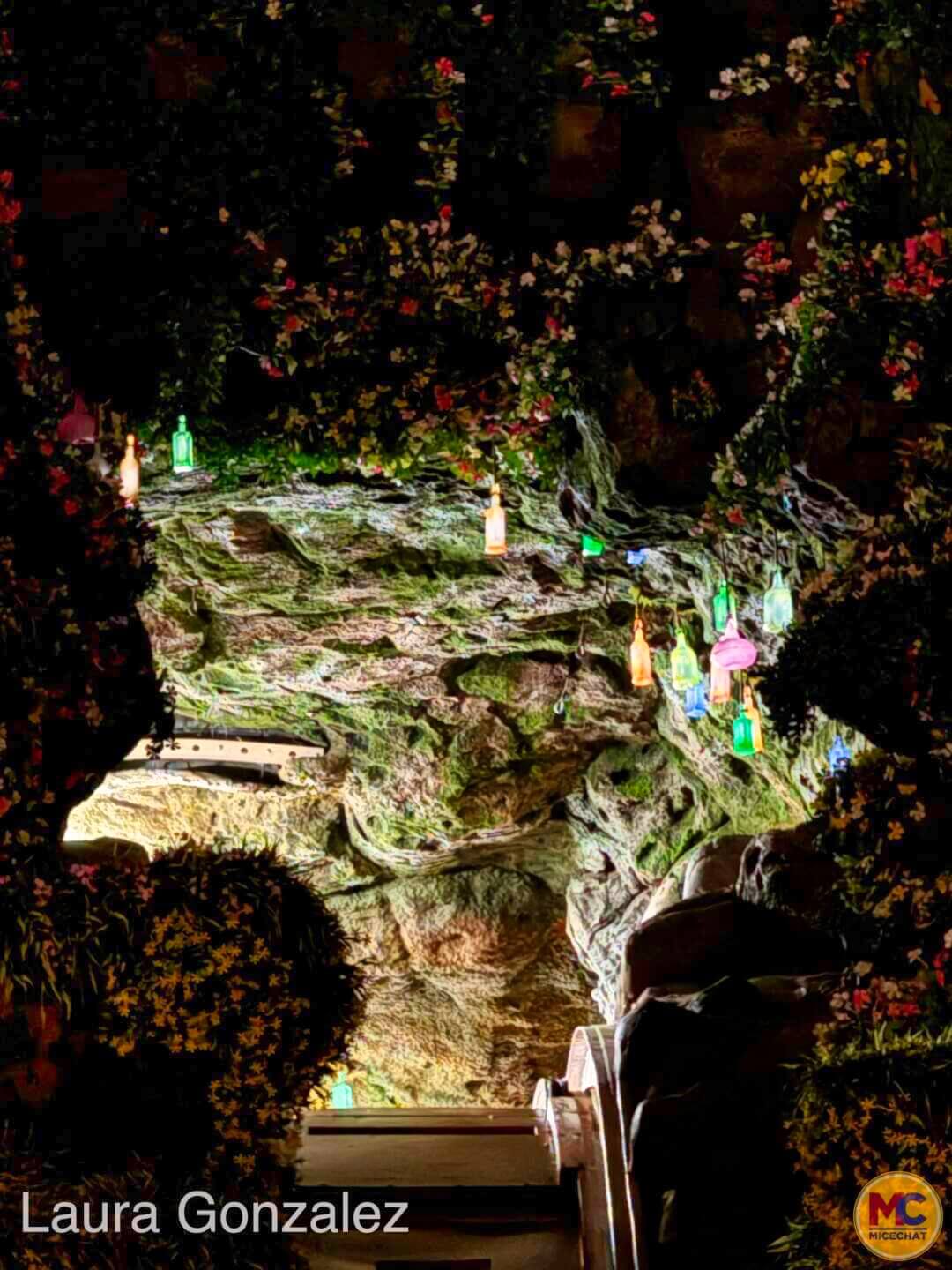 , Splash Mountain Makeover:  Tiana&#8217;s Bayou Adventure WDW Construction Update