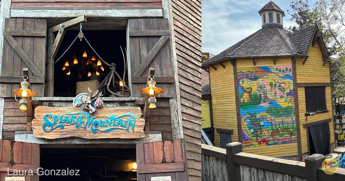 , Splash Mountain Makeover:  Tiana&#8217;s Bayou Adventure WDW Construction Update