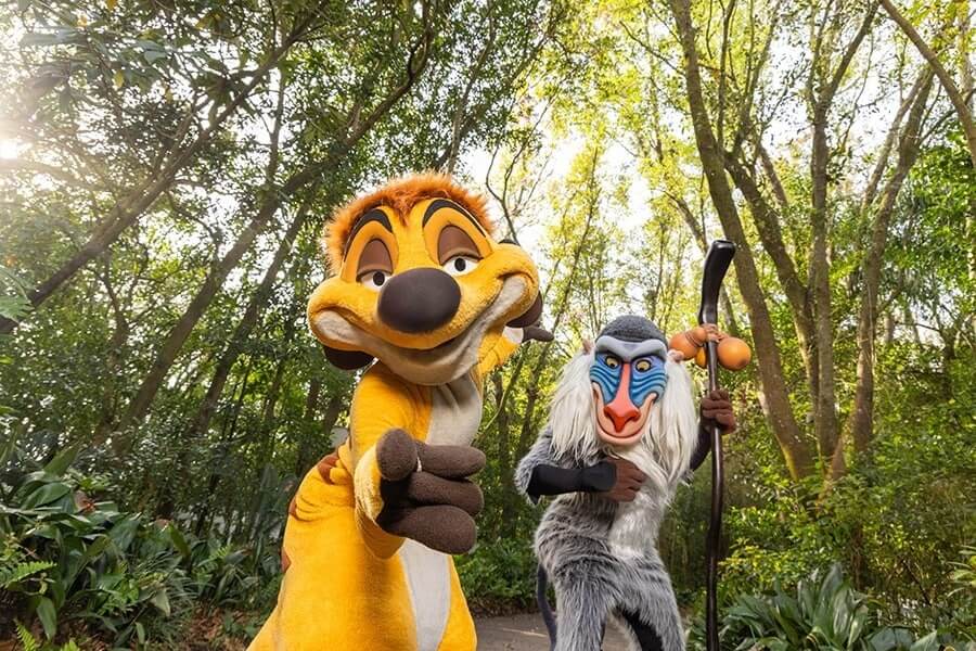 , WDW NEWS: Drone Show, Encanto Sing-Along, & Lion King News!