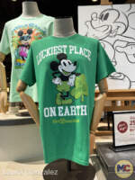 walt disney world-st patricks day 2024-luckiest place on earth shirt