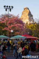 052_Disneyland_Park_Matterhorn Springtime