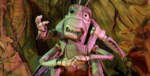 A Bug’s Land