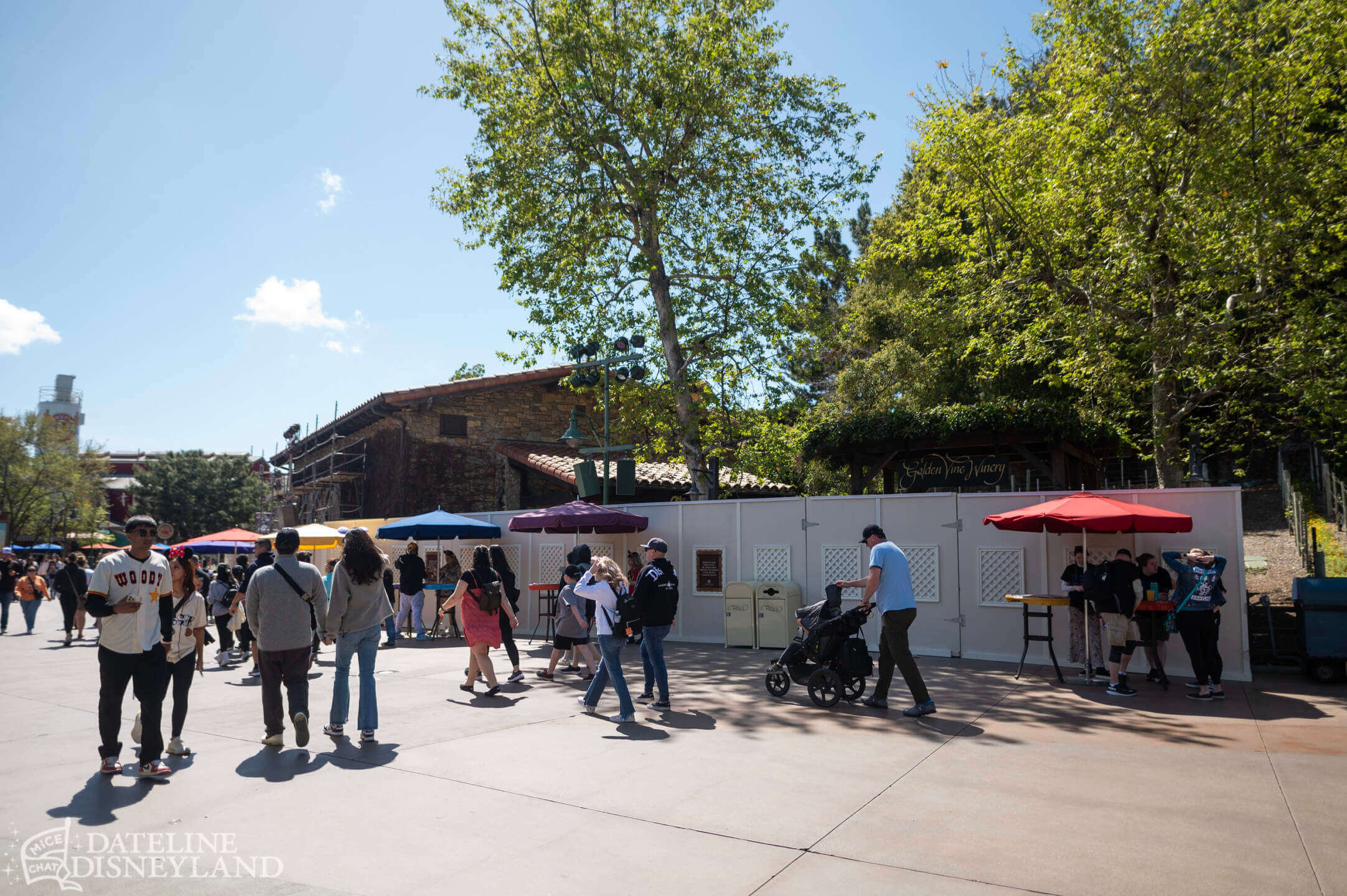 Disneyland, Disneyland Update: Rainy Days, Reveals, and Reinventions!