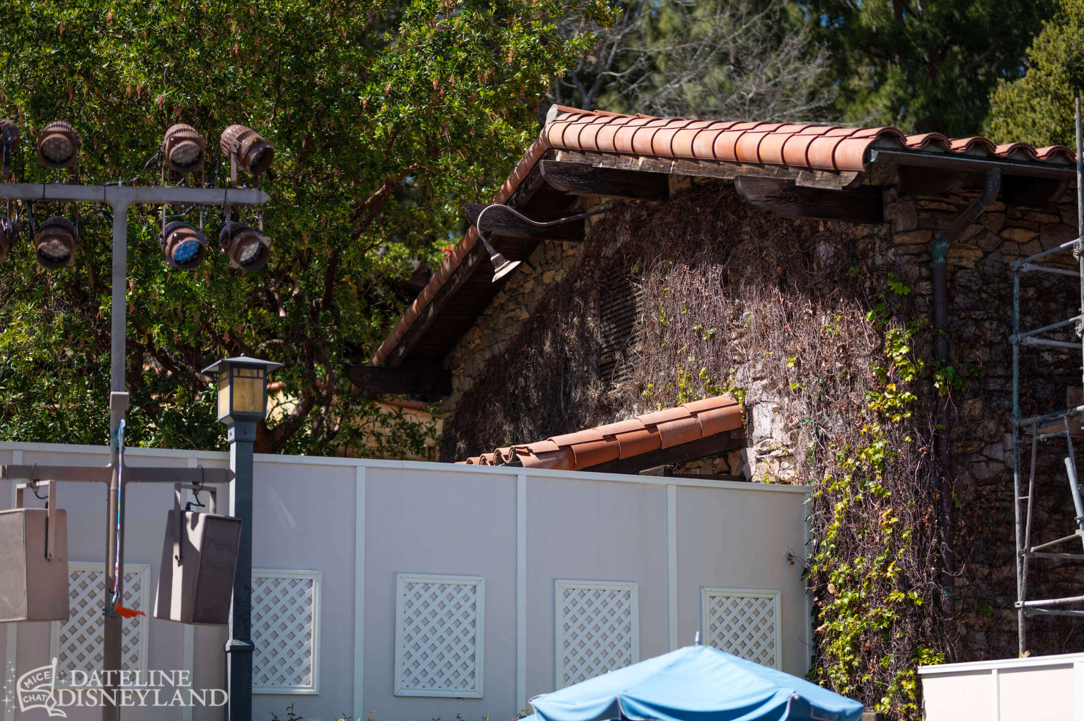 Disneyland, Disneyland Update: Rainy Days, Reveals, and Reinventions!